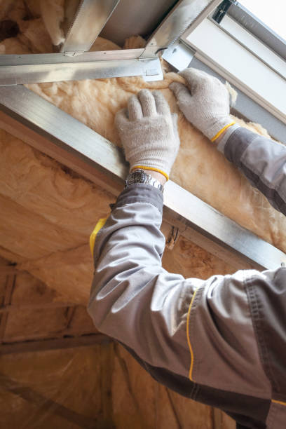 Best Cellulose Insulation in Sheffield, AL